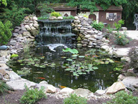 Aquatic Ponds10