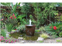 Aquatic Ponds8