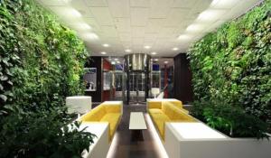 Vertical Garden